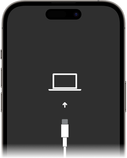 unlock iphone face id